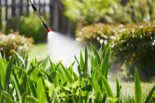 24/7 Emergency Rodent Control experts in Woodland Park, NE