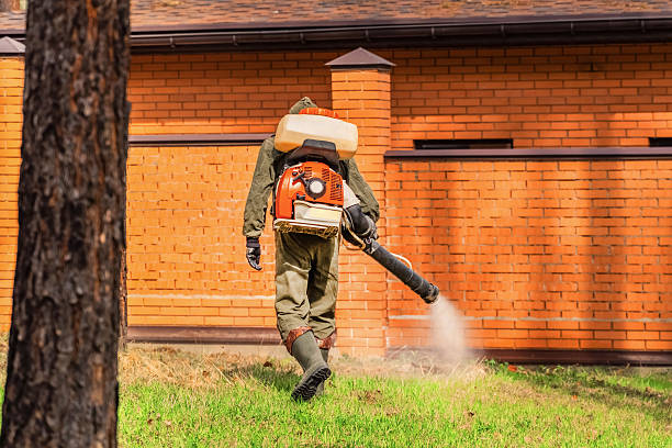 Trusted Emergency Pest Control service in Woodland Park, NE - Nex Pest Control